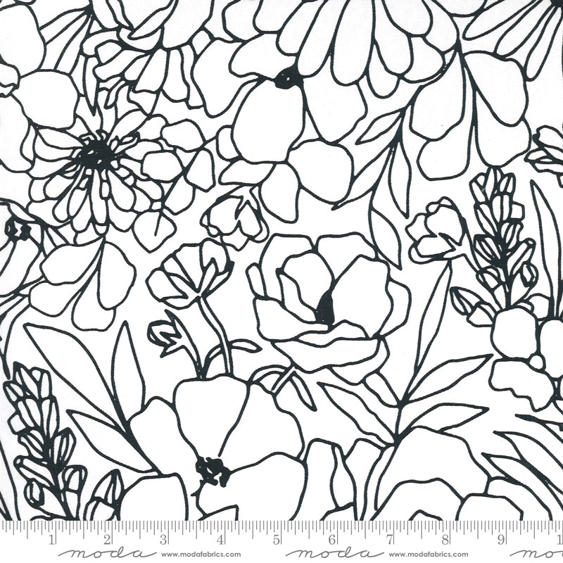Illustrations - White Blooms *CANVAS*